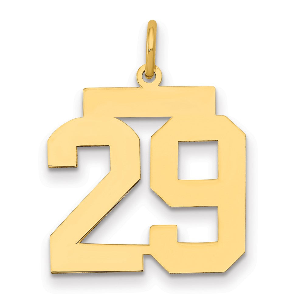 14K Gelbgold Mittel Poliert Zahl 29 Charm