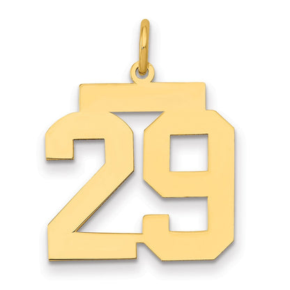 14K Gelbgold Mittel Poliert Zahl 29 Charm