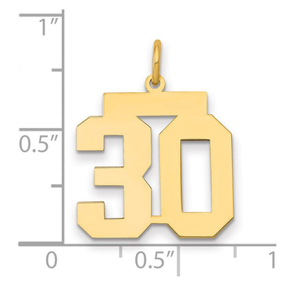 14K Gelbgold Mittel Poliert Zahl 30 Charm