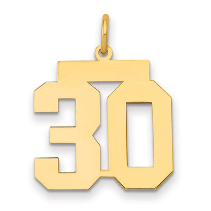 14K Gelbgold Mittel Poliert Zahl 30 Charm