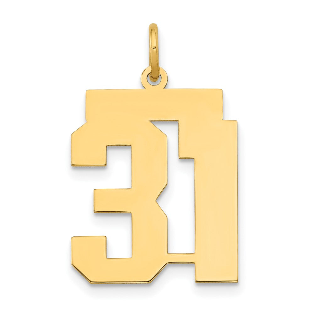 14K Gelbgold Mittel Poliert Zahl 31 Charm