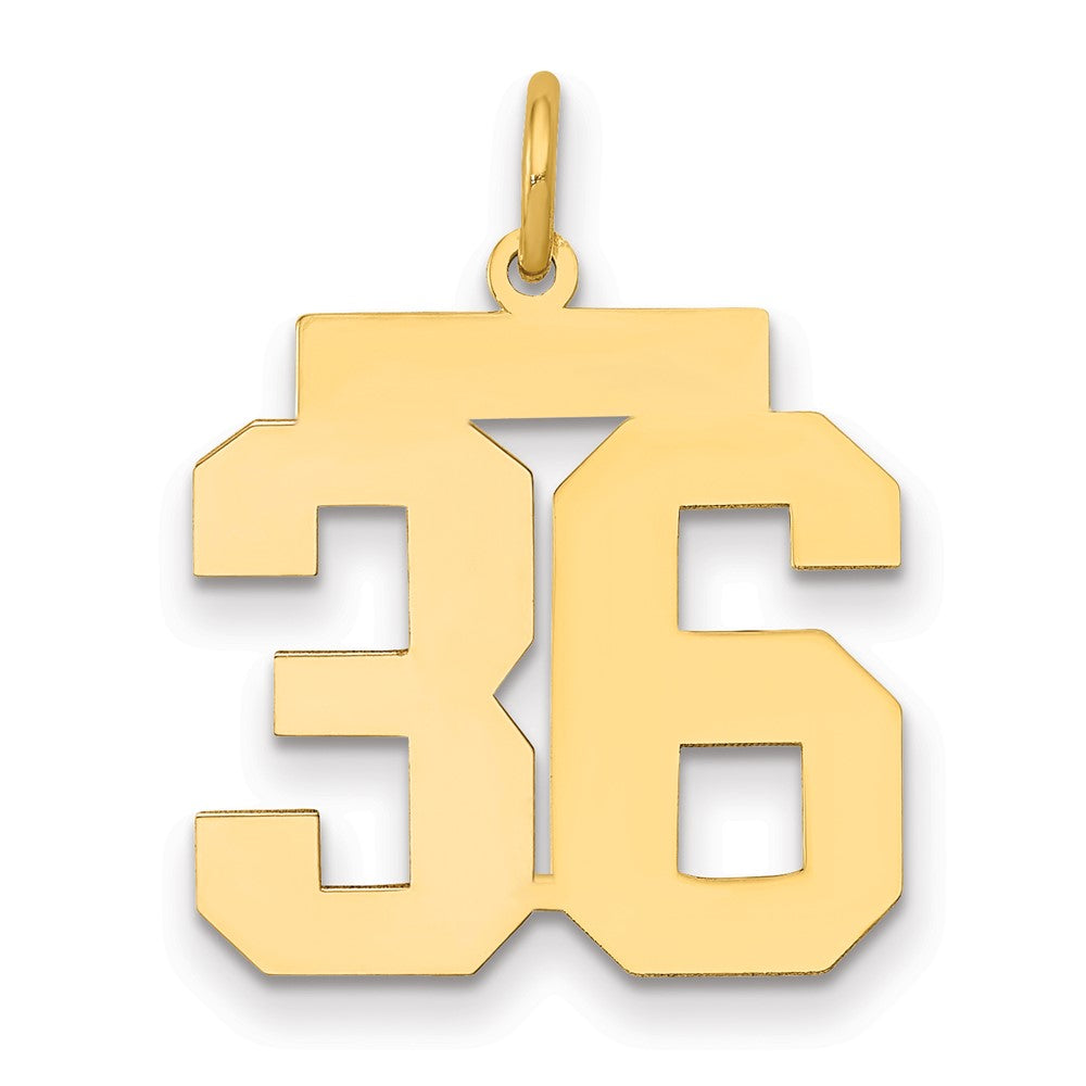 14K Gelbgold Mittel Poliert Zahl 36 Charm