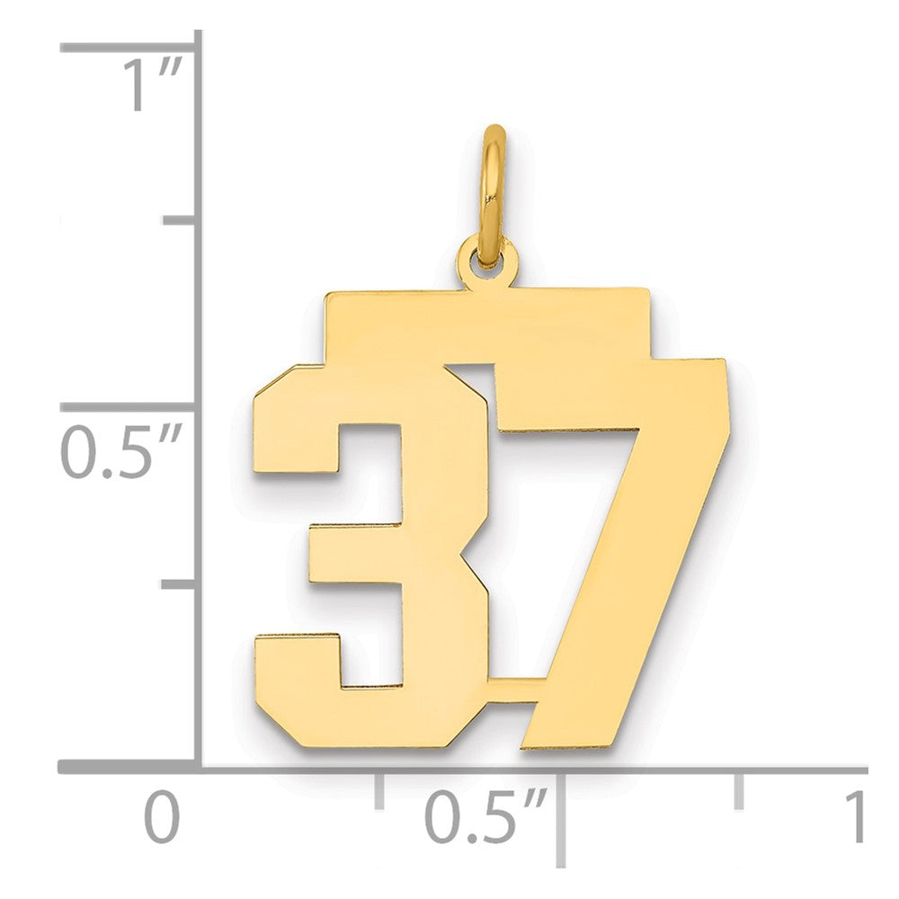 14K Gelbgold Mittel Poliert Zahl 37 Charm