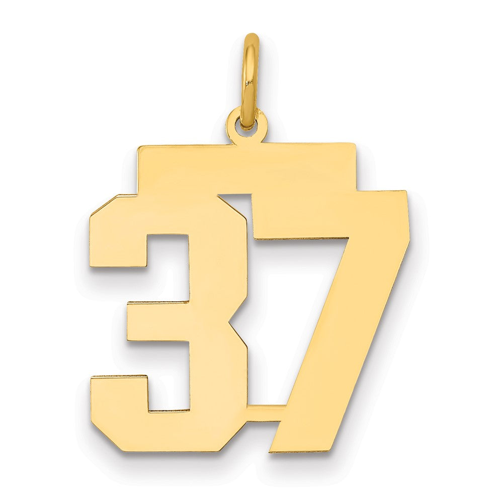 14K Gelbgold Mittel Poliert Zahl 37 Charm