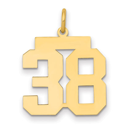 14K Gelbgold Mittel Poliert Zahl 38 Charm