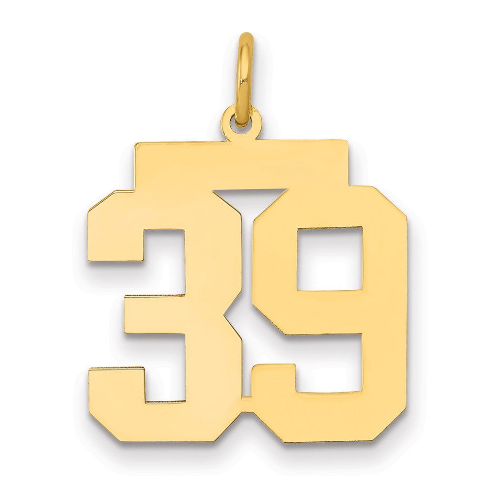 14K Gelbgold Mittel Poliert Zahl 39 Charm