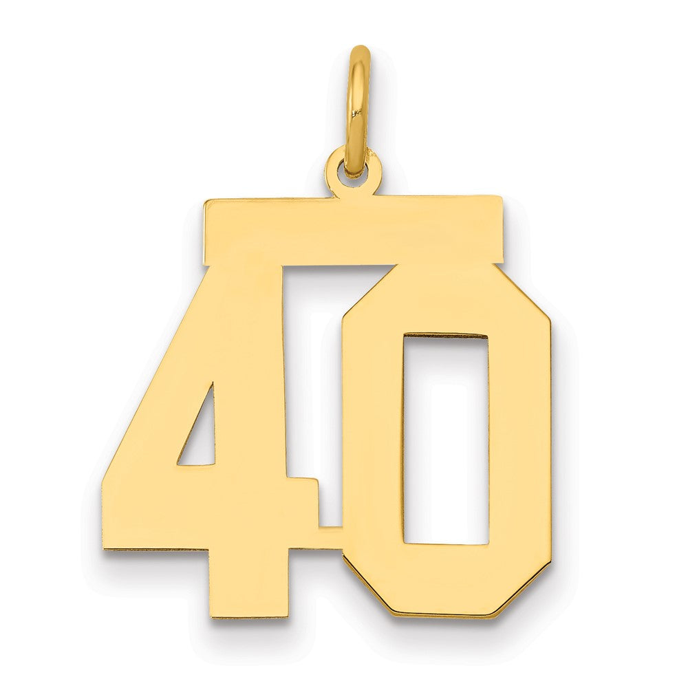 14K Gelbgold Mittel Poliert Zahl 40 Charm