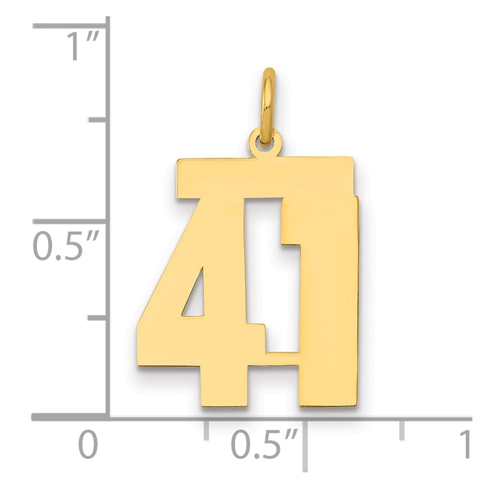 14K Gelbgold Mittel Poliert Zahl 41 Charm