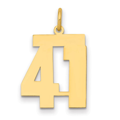 14K Gelbgold Mittel Poliert Zahl 41 Charm