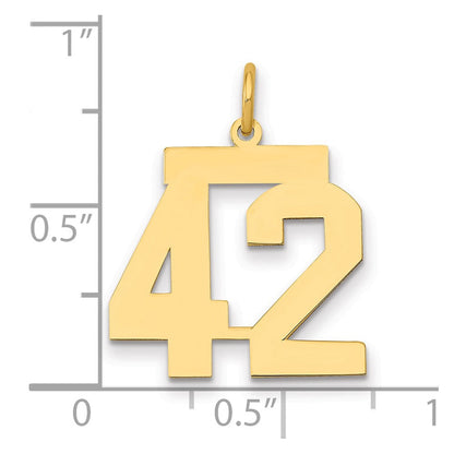 14K Gelbgold Mittel Poliert Zahl 42 Charm