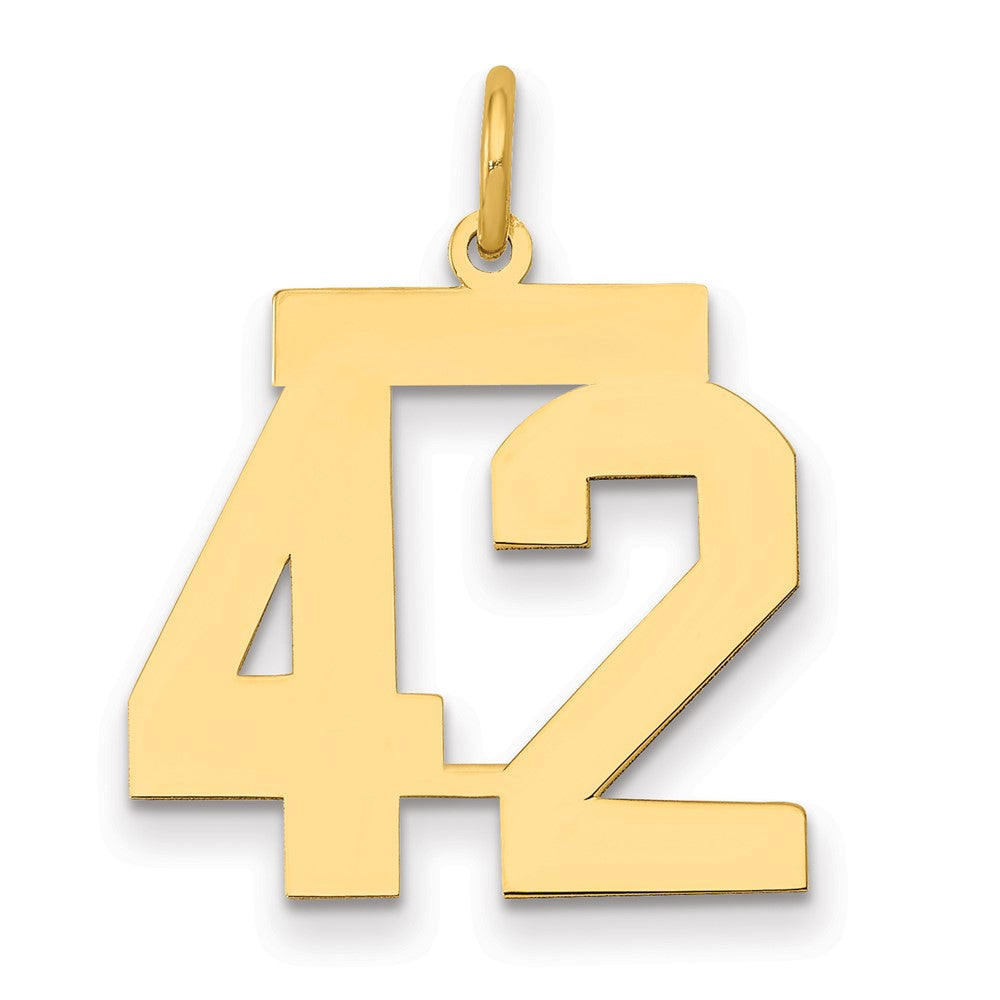 14K Gelbgold Mittel Poliert Zahl 42 Charm