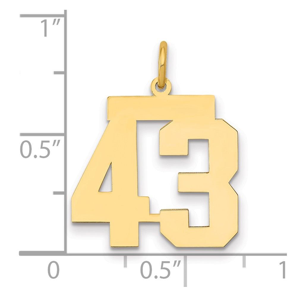 14K Gelbgold Mittel Poliert Zahl 43 Charm