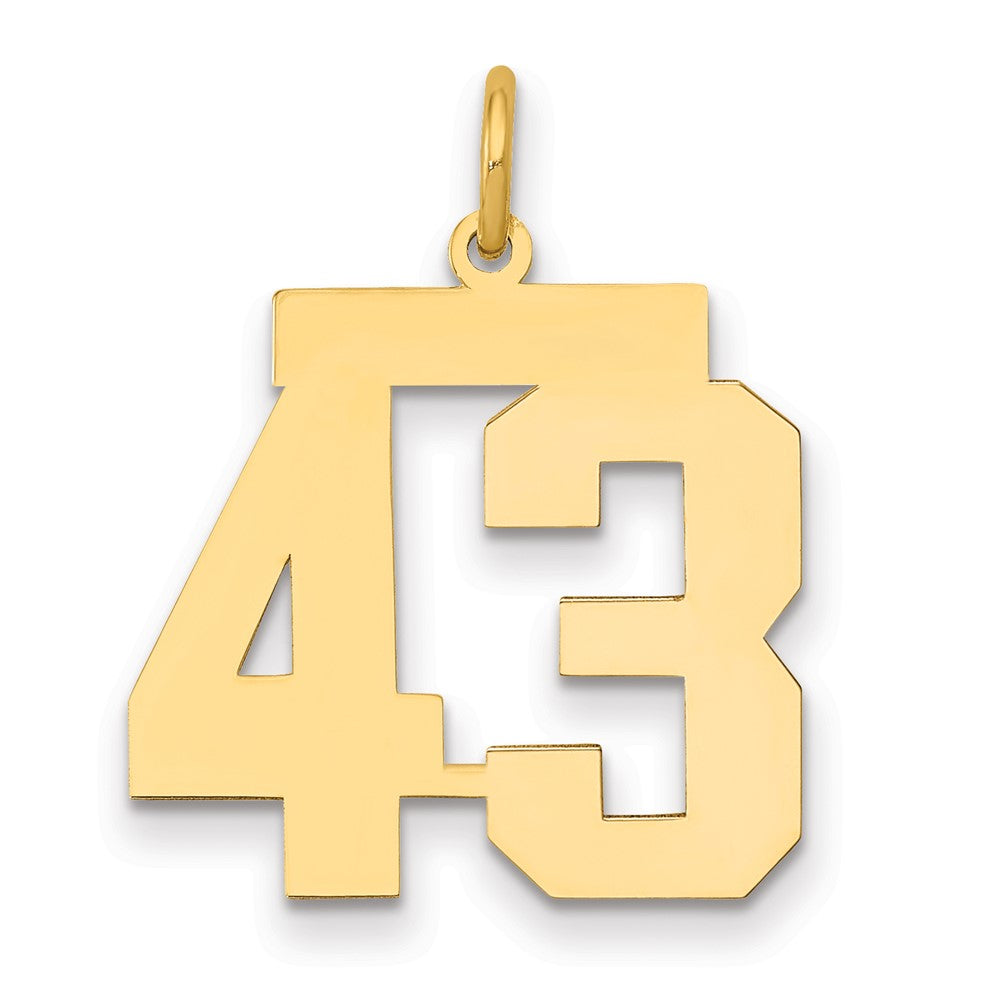 14K Gelbgold Mittel Poliert Zahl 43 Charm