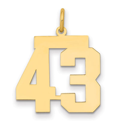 14K Gelbgold Mittel Poliert Zahl 43 Charm