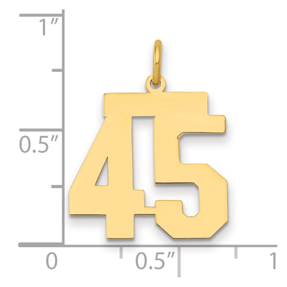 14K Gelbgold Mittel Poliert Zahl 45 Charm