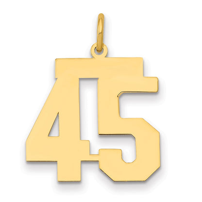 14K Gelbgold Mittel Poliert Zahl 45 Charm