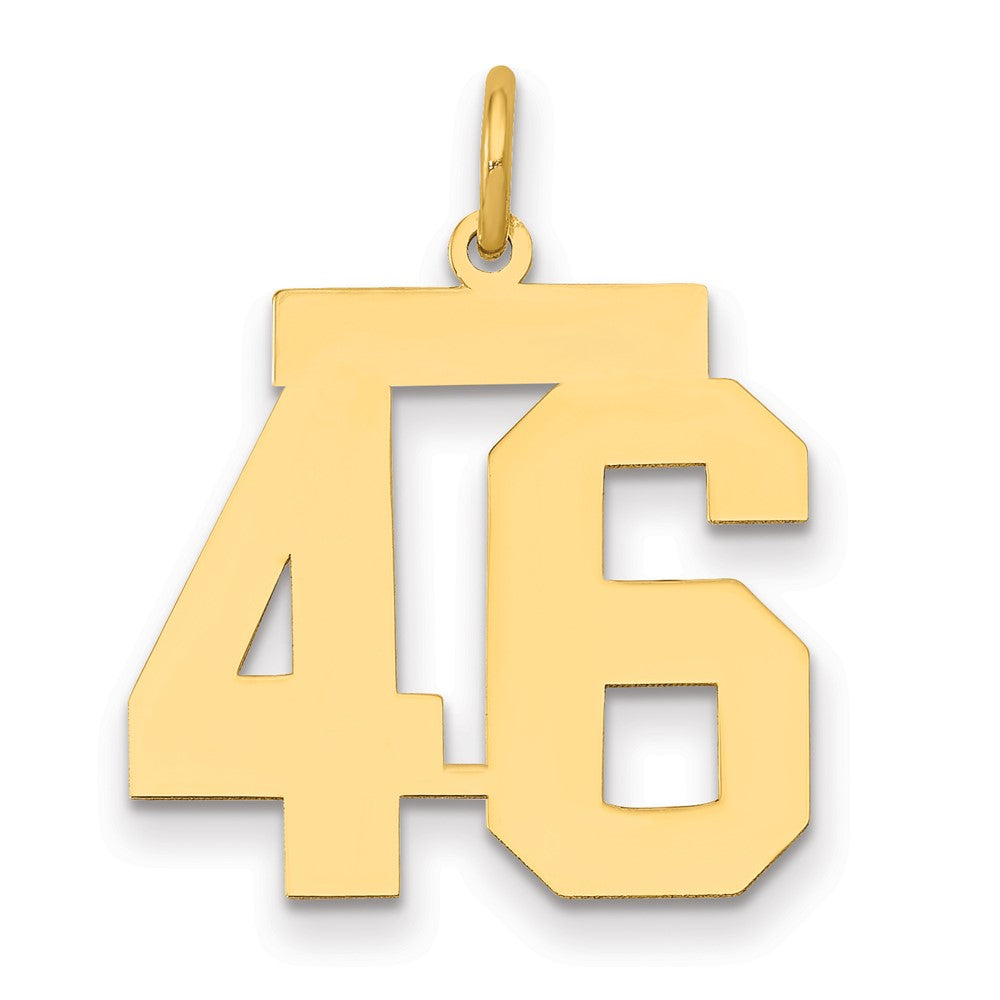 14K Gelbgold Mittel Poliert Zahl 46 Charm