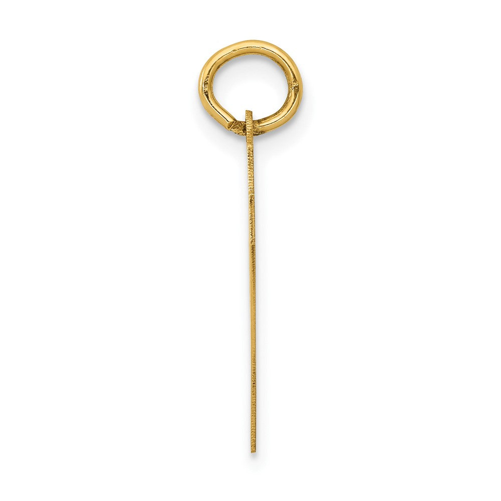 14K Gelbgold 14K Mittel Poliert Zahl 47 Charm