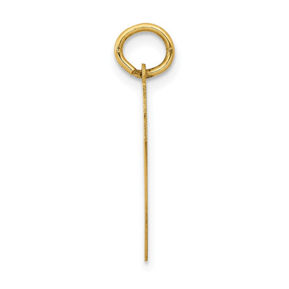 14K Gelbgold 14K Mittel Poliert Zahl 47 Charm