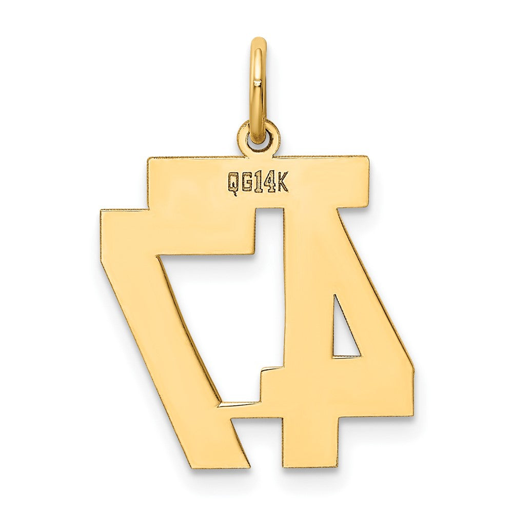 14K Gelbgold 14K Mittel Poliert Zahl 47 Charm