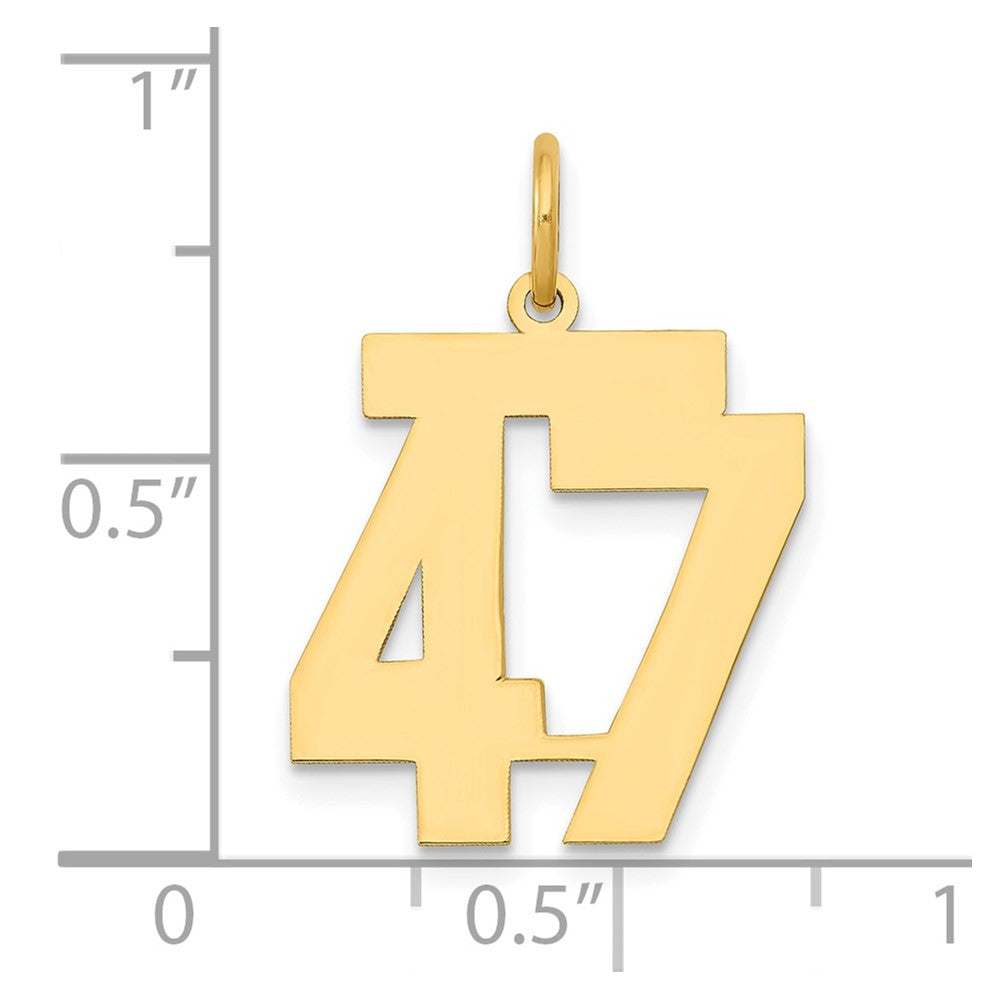 14K Gelbgold 14K Mittel Poliert Zahl 47 Charm