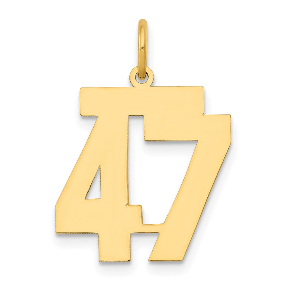 14K Gelbgold 14K Mittel Poliert Zahl 47 Charm
