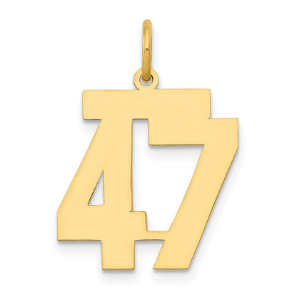 14K Gelbgold 14K Mittel Poliert Zahl 47 Charm