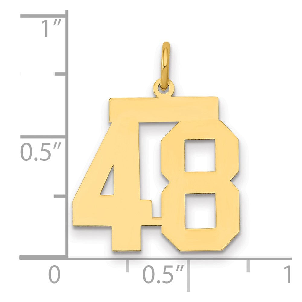 14K Gelbgold Mittel Poliert Zahl 48 Charm