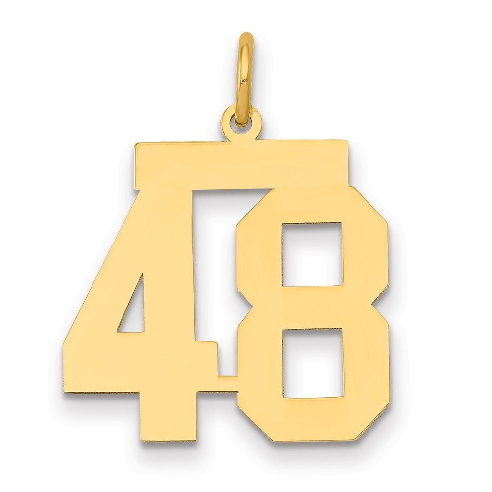 14K Gelbgold Mittel Poliert Zahl 48 Charm