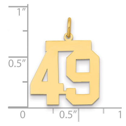 14K Gelbgold Mittel Poliert Zahl 49 Charm