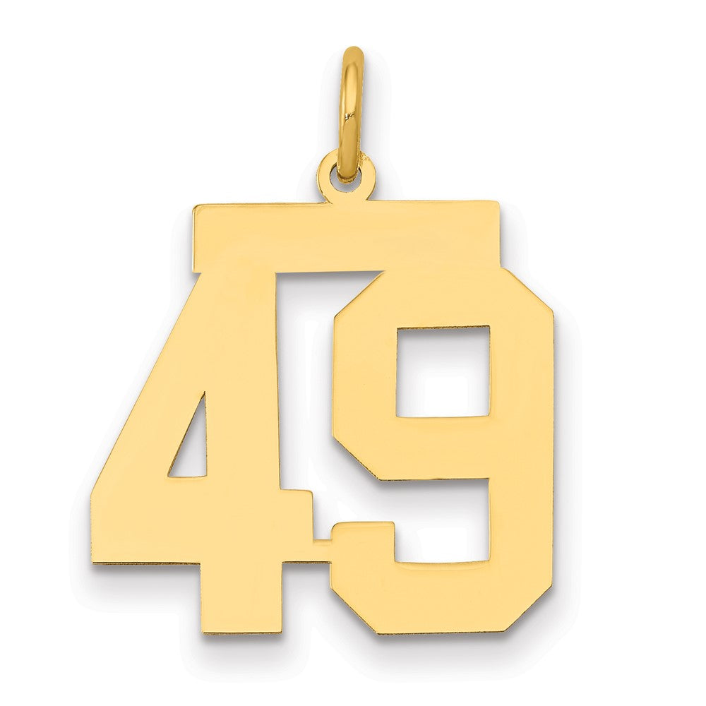 14K Gelbgold Mittel Poliert Zahl 49 Charm