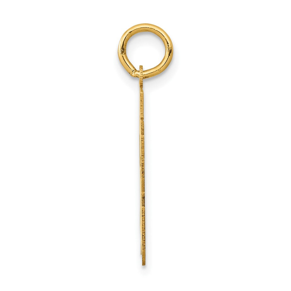 14K Gelbgold 14K Mittel Poliert Zahl 53 Charm