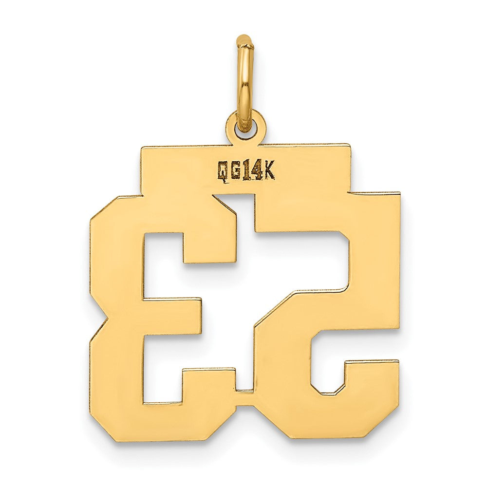 14K Gelbgold 14K Mittel Poliert Zahl 53 Charm