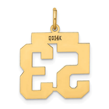 14K Gelbgold 14K Mittel Poliert Zahl 53 Charm
