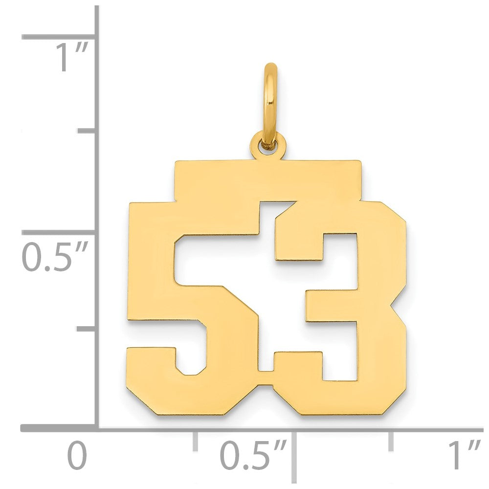 14K Gelbgold 14K Mittel Poliert Zahl 53 Charm