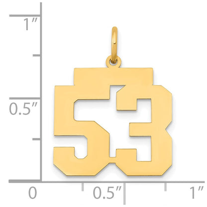 14K Gelbgold 14K Mittel Poliert Zahl 53 Charm