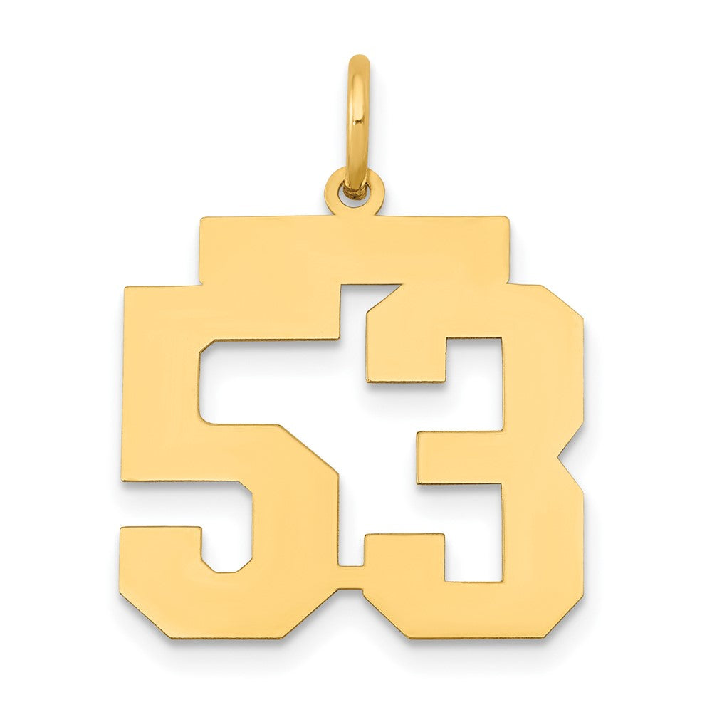 14K Gelbgold 14K Mittel Poliert Zahl 53 Charm
