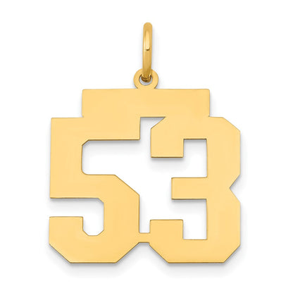 14K Gelbgold 14K Mittel Poliert Zahl 53 Charm
