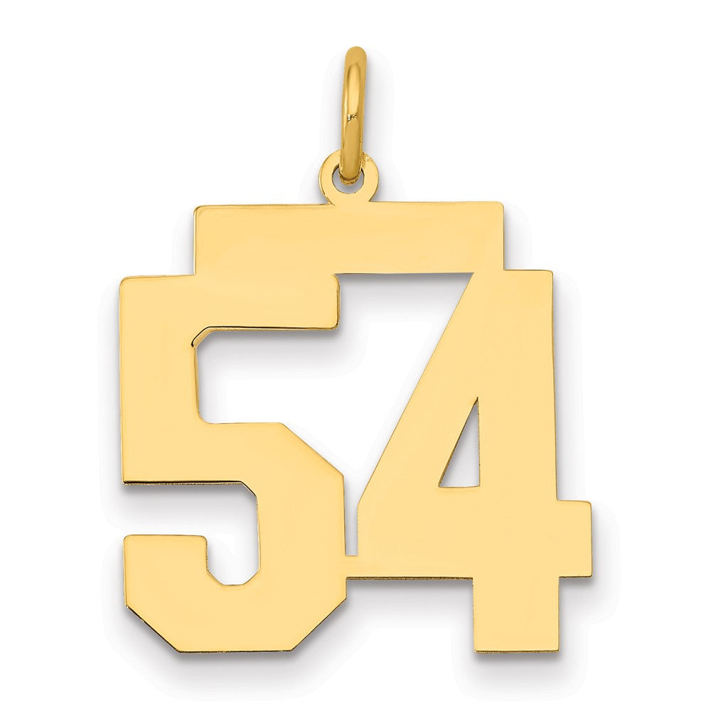 14K Gelbgold Mittel Poliert Zahl 54 Charm