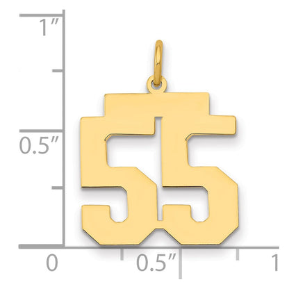 14K Gelbgold Mittel Poliert Zahl 55 Charm