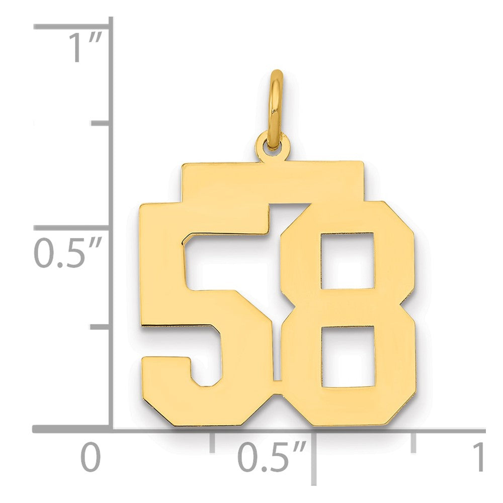 14K Gelbgold Mittel Poliert Zahl 58 Charm