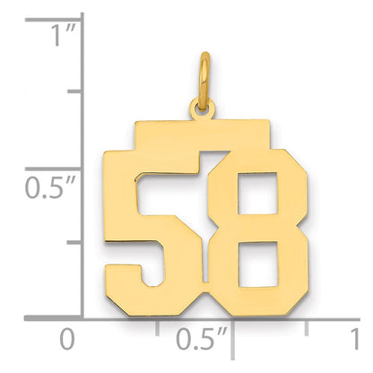 14K Gelbgold Mittel Poliert Zahl 58 Charm