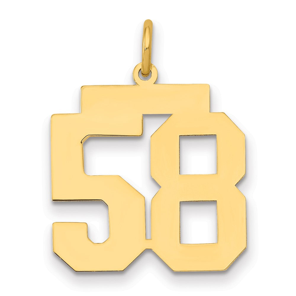 14K Gelbgold Mittel Poliert Zahl 58 Charm