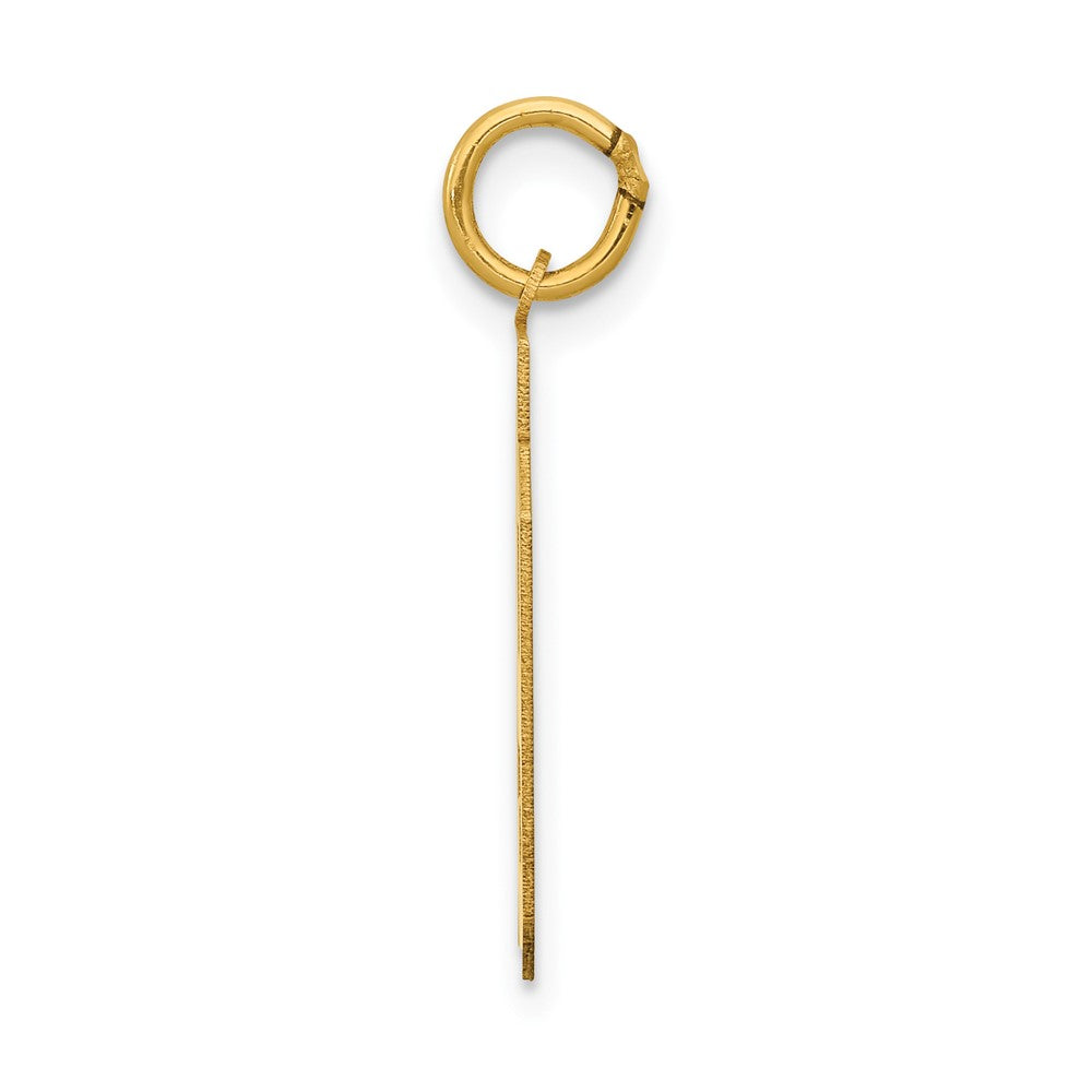 14K Gelbgold 14K Mittel Poliert Zahl 59 Charm