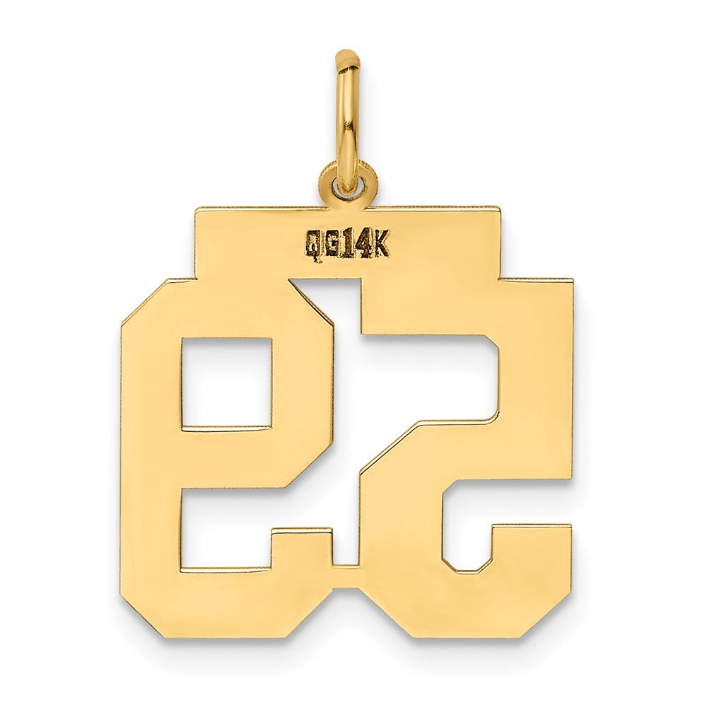 14K Gelbgold 14K Mittel Poliert Zahl 59 Charm