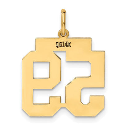 14K Gelbgold 14K Mittel Poliert Zahl 59 Charm