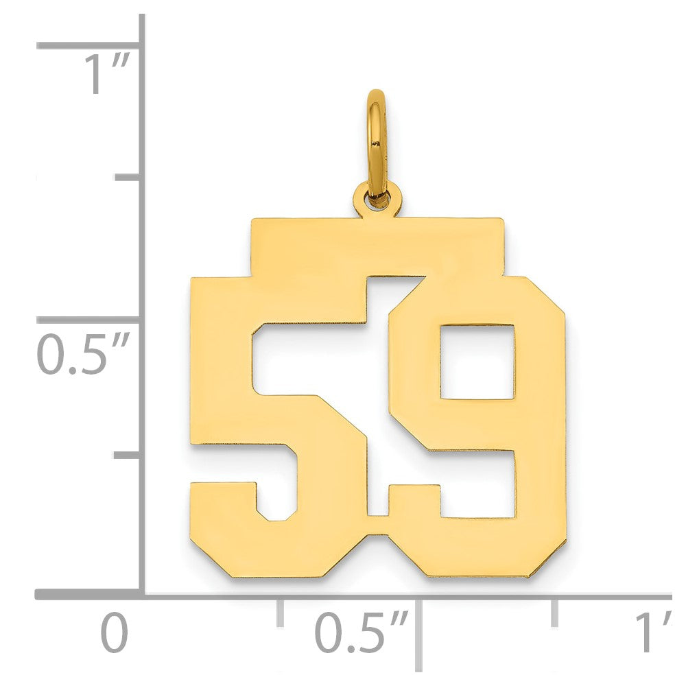 14K Gelbgold 14K Mittel Poliert Zahl 59 Charm