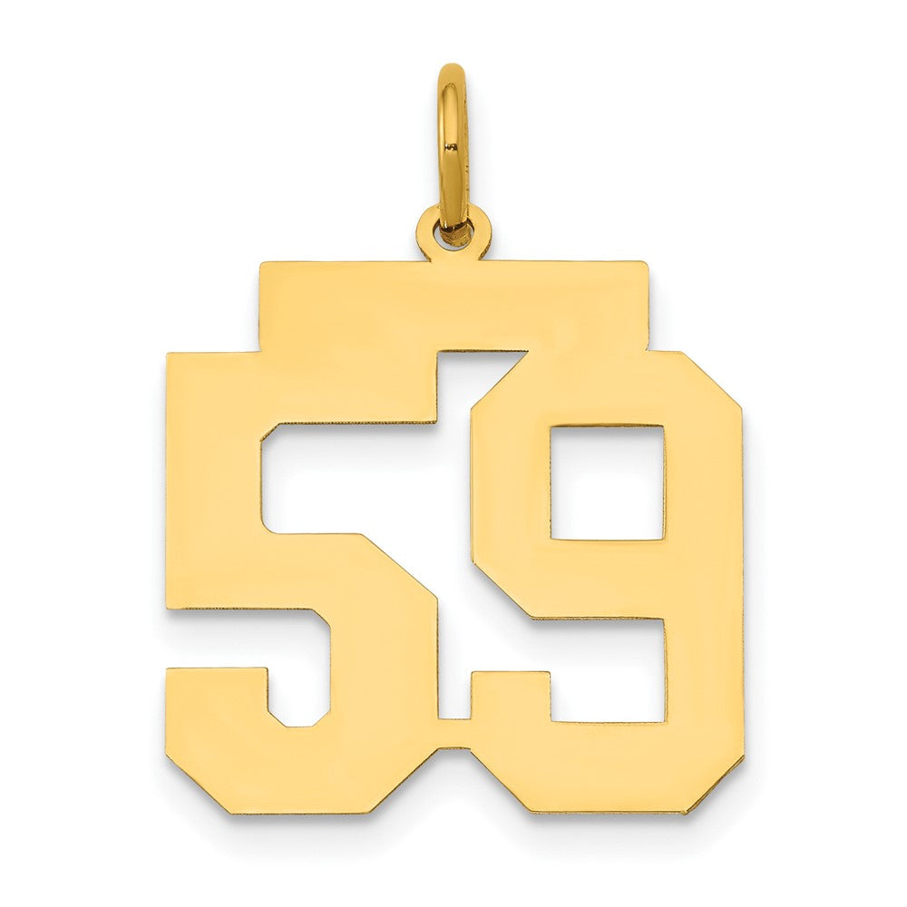 14K Gelbgold 14K Mittel Poliert Zahl 59 Charm