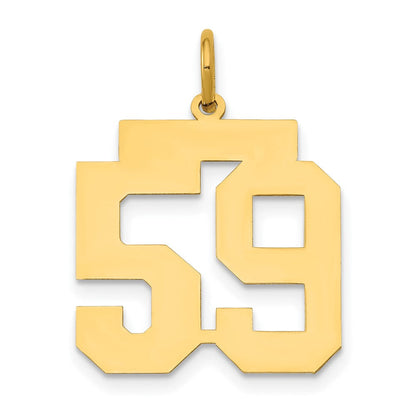 14K Gelbgold 14K Mittel Poliert Zahl 59 Charm