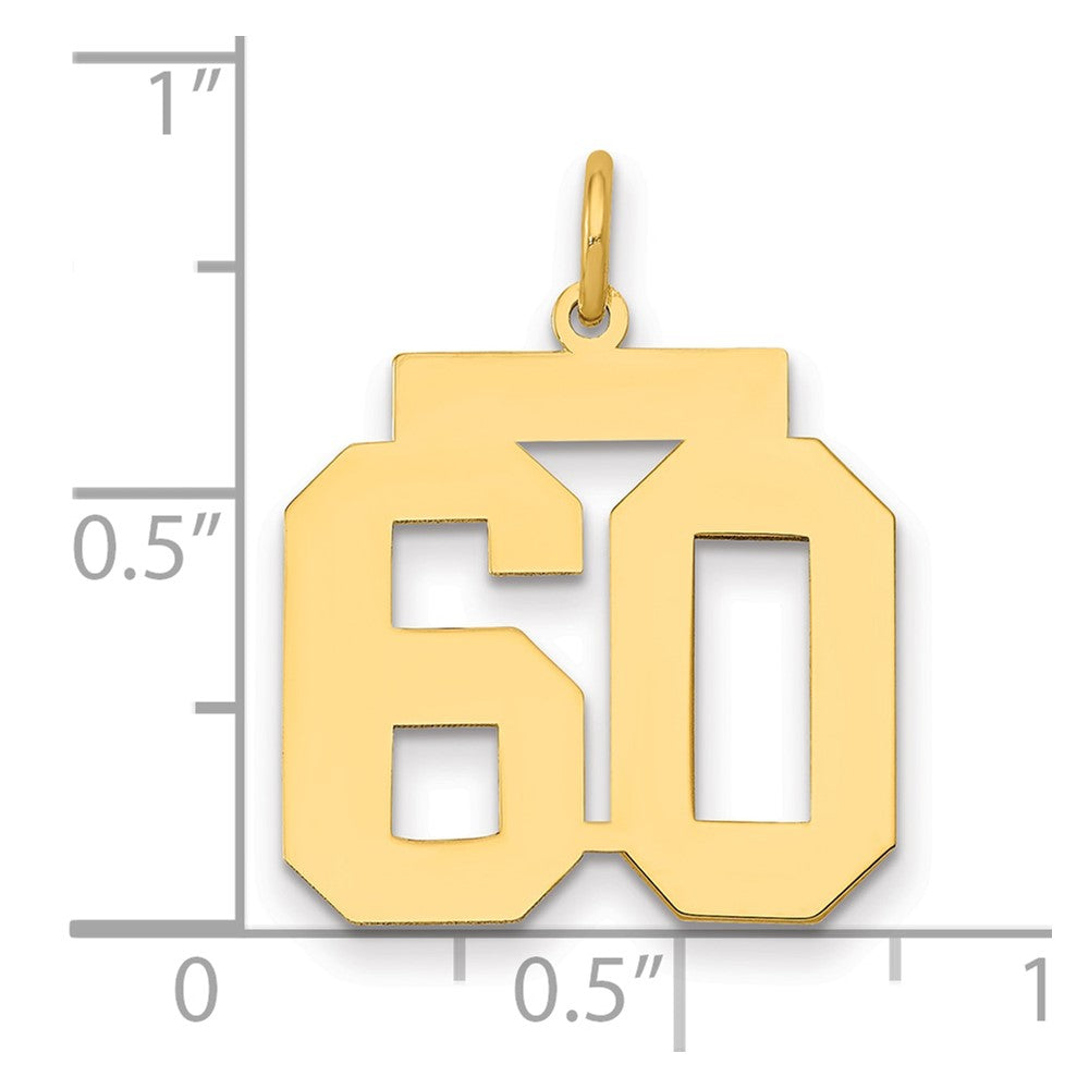 14K Gelbgold 14K Mittel Poliert Zahl 60 Charm